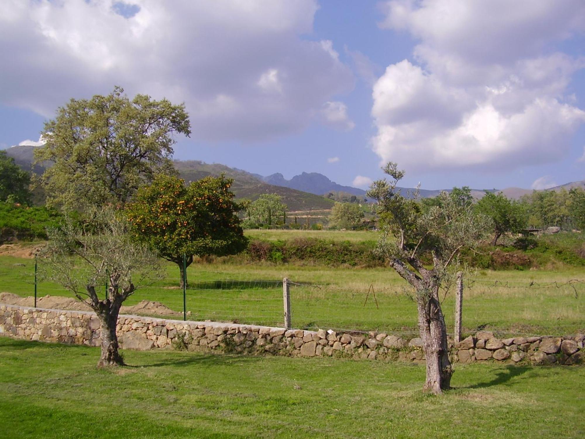 Gasthaus Casa Rural Ropino El Raso Exterior foto